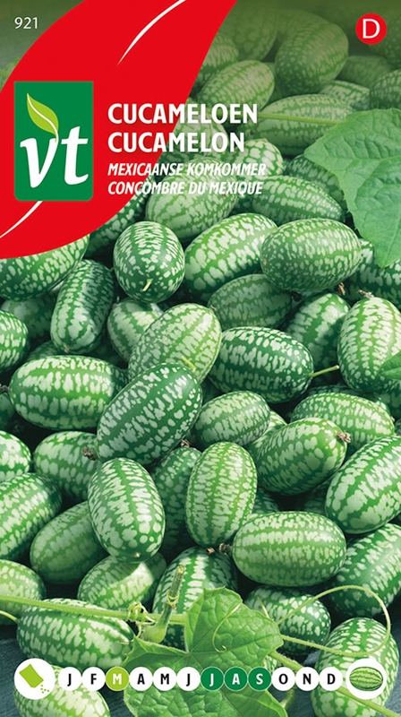 catalogus detail - Cucamelon - Concombre du Mexique
